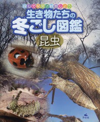 送料無料有/[書籍]/生き物たちの冬ごし図鑑 探して発見!観察しよう 昆虫/星輝行/写真・文/NEOBK-2144878