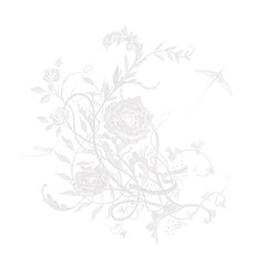 [CD]/Aimer/白色蜉蝣 [通常盤]/VVCL-2397