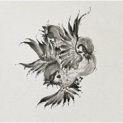 [CD]/FLOW/United Sparrows [通常盤]/VVCL-1874