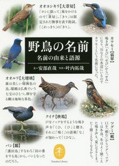 [書籍のゆうメール同梱は2冊まで]/[書籍]/野鳥の名前 名前の由来と語源 (ヤマケイ文庫)/安部直哉/文 叶内拓哉/写真/NEOBK-2329449