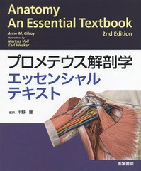 イラスト 解剖学の通販 Au Pay マーケット