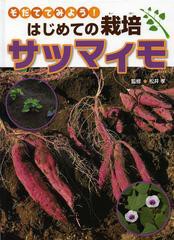 [書籍]サツマイモ (そだててみよう!はじめての栽培)/松井孝/監修/NEOBK-1468347