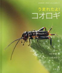 [書籍のゆうメール同梱は2冊まで]/[書籍]/うまれたよ!コオロギ (よみきかせいきものしゃしんえほん)/中瀬潤/写真 小杉みのり/構成・文/NE