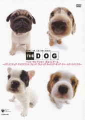 送料無料有/[DVD]/THE DOG ベスト・セレクション まるっこチーム?パグ、ミニチュア・ダックスフンド、フレンチ・ブルドッグ、キャバリア