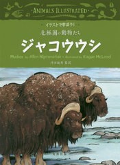 [書籍のメール便同梱は2冊まで]送料無料有/[書籍]/ジャコウウシ / 原タイトル:ANIMALS ILLUSTRATED:Muskox (イラストで学ぼう!北極圏の動