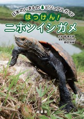 [書籍のメール便同梱は2冊まで]/[書籍]/はっけん!ニホンイシガメ (日本のいきものビジュアルガイド)/関慎太郎/写真 AZRelief/編著 野田英