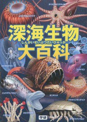 書籍 深海生物大百科 長沼毅 監修 武田正倫 監修 土田真二 監修 橋爪義弘 イラスト 梅田紀代志 イラスト 山屋 イラスト 松の通販はau Wowma Neowing 還元祭クーポン有