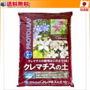 クレマチスの価格と最安値 おすすめ通販を激安で 花 ガーデニング用品関連