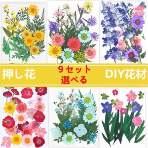 9セット選べる 天然花 押し花 ハンドメイド 押し花アート デコパーツ ドライフラワー DIY 化粧 手芸 パーツ ブリザードフラワー キット