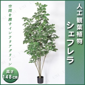 【取寄品】 人工観葉植物 シェフレラポット 148cm 【 インテリアグリーン フェイクグリーン 】