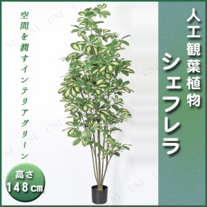 【取寄品】 人工観葉植物 シェフレラポット 148cm 【 フェイクグリーン インテリアグリーン 】