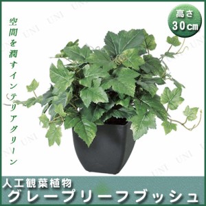 【取寄品】 人工観葉植物 グレープリーフブッシュ(ポット付) 30cm 【 インテリアグリーン 小さい ミニ観葉植物 ミニサイズ フェイクグリ