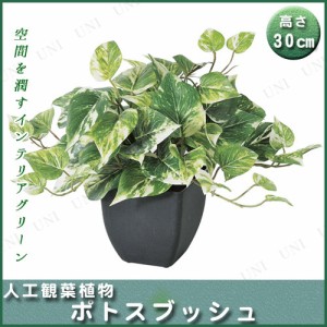 【取寄品】 人工観葉植物 ポトスブッシュ(ポット付) 30cm 【 ミニサイズ ミニ観葉植物 インテリアグリーン 小さい フェイクグリーン 】