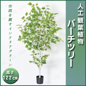 【取寄品】 人工観葉植物 バーチツリーポット 122cm 【 フェイクグリーン インテリアグリーン 】