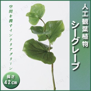 【取寄品】 人工観葉植物 シーグレープ 42cm 【 インテリア ミニサイズ ミニ観葉植物 小さい フェイク 】