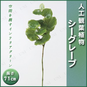 【取寄品】 人工観葉植物 シーグレープ 71cm 【 インテリアグリーン フェイクグリーン 】