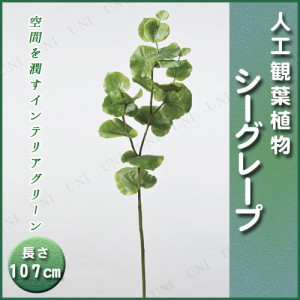 【取寄品】 人工観葉植物 シーグレープ 107cm 【 フェイクグリーン インテリアグリーン 】