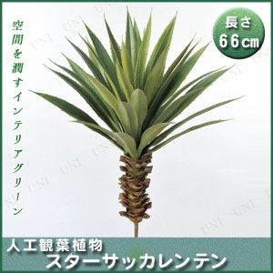 【取寄品】 人工観葉植物 スターサッカレンテン 66cm 【 フェイクグリーン インテリアグリーン 】