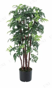 【取寄品】 アラリアポット(95cm) A-50770 【 フェイクグリーン 人工観葉植物 インテリアグリーン 】