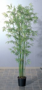 【取寄品】 バンブーツリーS ポット付(200cm) A-56005 【 笹  フェイクグリーン 店舗装飾品 インテリアグリーン POP 人工観葉植物 たなば