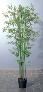 【取寄品】 バンブーツリーS ポット付(200cm) A-56005 【 七夕 笹 人工観葉植物 竹 ディスプレイ  フェイクグリーン 飾り デコレーション