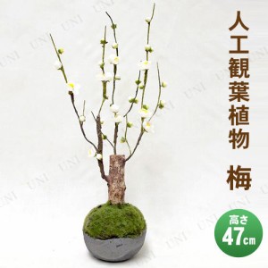 【取寄品】 フェイクグリーン 光触媒 梅 47cm 【 小さい インテリアグリーン 消臭 人工観葉植物 ミニ観葉植物 ミニサイズ 抗菌 】