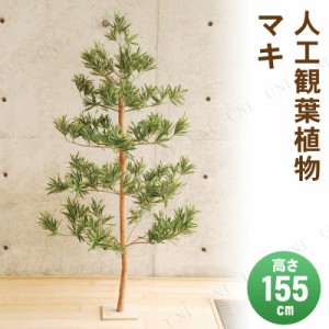 【取寄品】 フェイクグリーン 光触媒 マキ 155cm 【 抗菌 人工観葉植物 インテリアグリーン 消臭 】