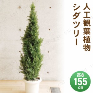 【取寄品】 フェイクグリーン 光触媒 シダツリー 155cm 【 人工観葉植物 羊歯 インテリアグリーン フェイクグ リーン 消臭 抗菌 】