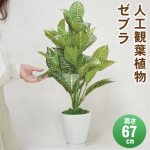 【取寄品】 フェイクグリーン 光触媒 ゼブラ 67cm 【 消臭 インテリアグリーン 抗菌 人工観葉植物 】