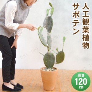 【取寄品】 フェイクグリーン 光触媒 サボテン 120cm 【 消臭 インテリアグリーン 人工観葉植物 抗菌 多肉植物 】