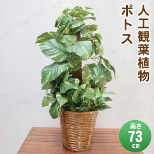 【取寄品】 フェイクグリーン 光触媒 ポトス 73cm 【 人工観葉植物 インテリアグリーン 】