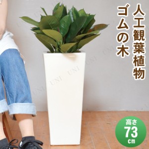 【取寄品】 フェイクグリーン 光触媒 ゴムの木 73cm 【 人工観葉植物 インテリアグリーン ゴムノキ 】