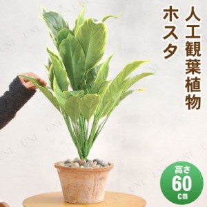 【取寄品】 フェイクグリーン 光触媒 ホスタ 60cm 【 抗菌 インテリアグリーン 消臭 人工観葉植物 】