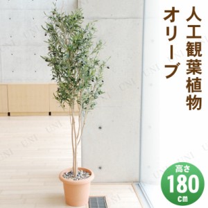 【取寄品】 フェイクグリーン 光触媒 オリーブ 180cm 【 インテリアグリーン 人工観葉植物 抗菌 消臭 果樹木 】