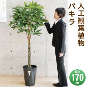 【取寄品】 フェイクグリーン 光触媒 パキラ 170cm 【 抗菌 人工観葉植物 消臭 インテリアグリーン 】