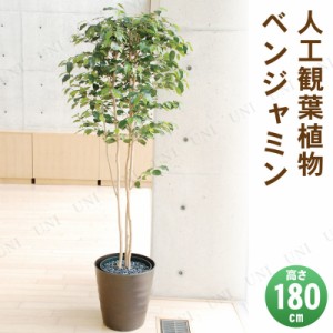 【取寄品】 フェイクグリーン 光触媒 ベンジャミン 180cm 【 フェイクグ リーン 人工観葉植物 抗菌 インテリアグリーン 消臭 】