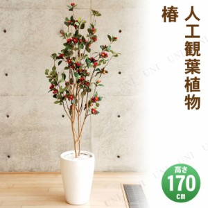 【取寄品】 フェイクグリーン 光触媒 椿 170cm 【 抗菌 人工観葉植物 インテリアグリーン 消臭 】