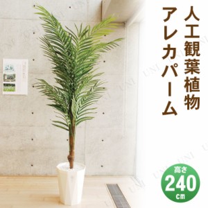 【取寄品】 フェイクグリーン 光触媒 アレカパーム 240cm 【 人工観葉植物 大きい 抗菌 ヤシの木 椰子 消臭 インテリアグリーン 】