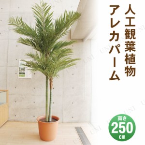 【取寄品】 フェイクグリーン 光触媒 アレカパーム 250cm 【 消臭 椰子 インテリアグリーン 人工観葉植物 ヤシの木 大きい 抗菌 】