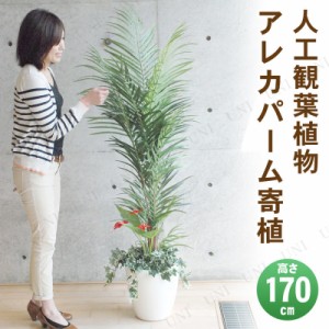 【取寄品】 フェイクグリーン 光触媒 アレカパーム寄植 170cm 【 椰子 ヤシの木 消臭 人工観葉植物 抗菌 インテリアグリーン 】