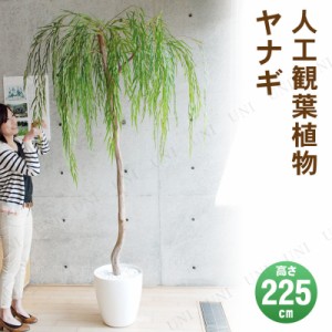 【取寄品】 フェイクグリーン 光触媒 ヤナギ 225cm 【 消臭 抗菌 大きい 人工観葉植物 インテリアグリーン 】