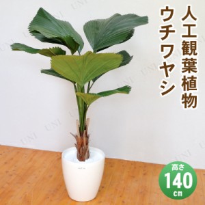 【取寄品】 フェイクグリーン 光触媒 ウチワヤシ 140cm 【 椰子 消臭 人工観葉植物 ヤシの木 インテリアグリーン 抗菌 】