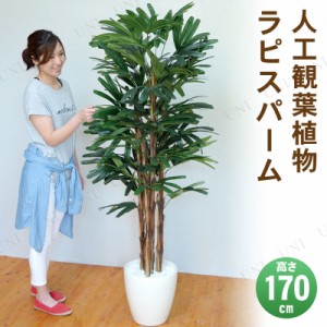 【取寄品】 フェイクグリーン 光触媒 ラピスパーム 170cm 【 インテリアグリーン 人工観葉植物 抗菌 ヤシの木 消臭 椰子 】