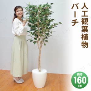 【取寄品】 フェイクグリーン 光触媒 バーチ 160cm 【 人工観葉植物 消臭 インテリアグリーン 抗菌 】