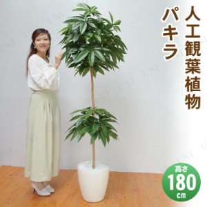 【取寄品】 フェイクグリーン 光触媒 パキラ 180cm 【 消臭 人工観葉植物 抗菌 インテリアグリーン 】