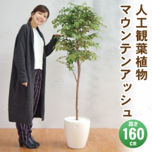 【取寄品】 フェイクグリーン 光触媒 マウンテンアッシュ 160cm 【 インテリアグリーン 消臭 抗菌 人工観葉植物 】