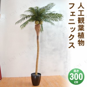 【取寄品】 フェイクグリーン 光触媒 フェニックス 300cm 【 人工観葉植物 ヤシの木 消臭 大きい 抗菌 椰子 インテリアグリーン 】