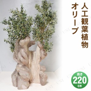 【取寄品】 フェイクグリーン 光触媒 オリーブ 220cm 【 人工観葉植物 果樹木 抗菌 消臭 大きい インテリアグリーン 】