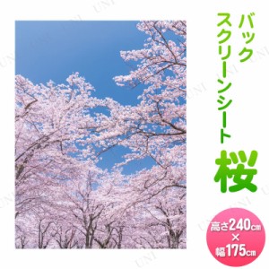 240×175cm バックスクリーンシート桜 【 POP 飾り さくら 春 デコレーション 店舗装飾品 ディスプレイ 販促品 入学式 サクラ お花見 】