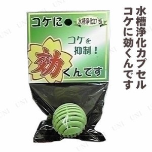 ソネケミファ 水槽浄化カプセル 効くんです コケ 【 ペット用品 水質管理品 コケ抑制剤 水質調整用品 苔抑制剤 水槽用具 水槽用品 ペット